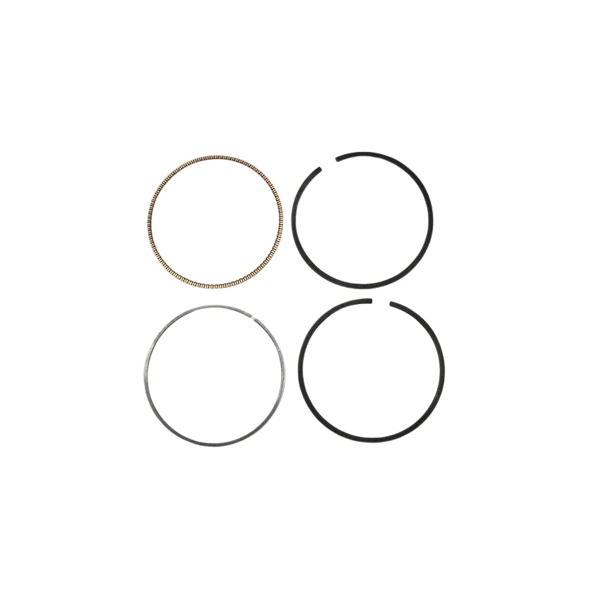 Briggs & Stratton 792073 Engine Ring Set .020