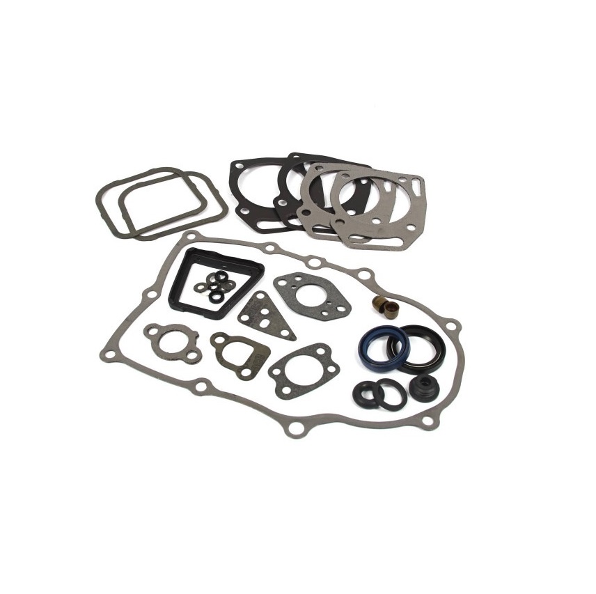 Briggs & Stratton 84010902 Engine Gasket Set