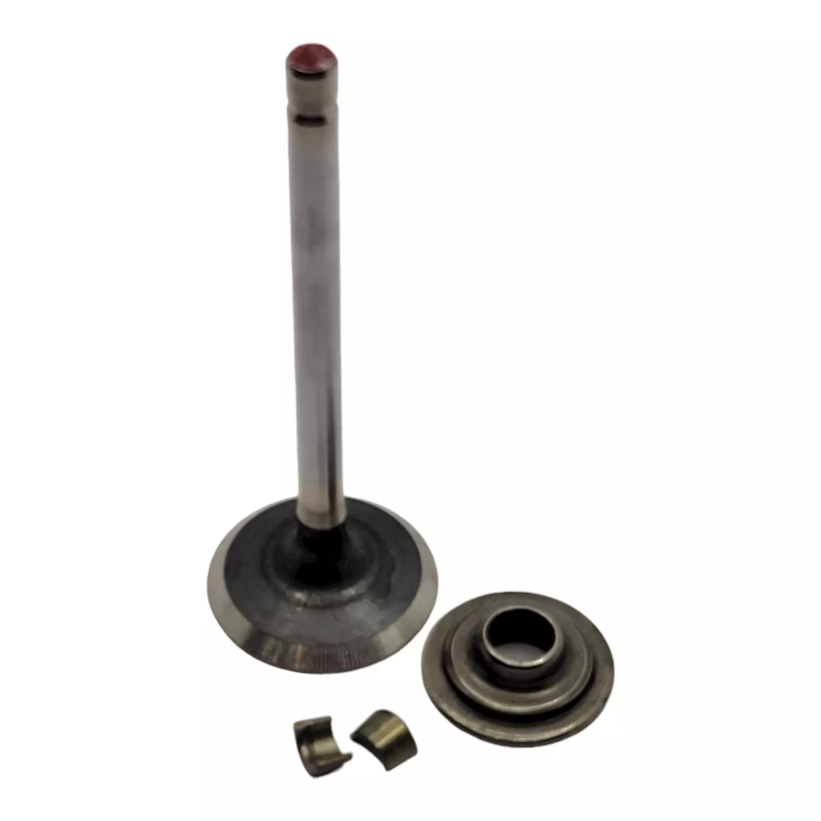 BRIGGS & STRATTON 793557 Engine Exhaust Valve
