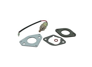Kohler 2475722-S Engine Repair Solenoid Valve Kit